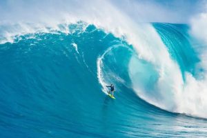 insiden-tragis-di-mentawai-wn-italia-meninggal-dunia-akibat-tertusuk-ikan-todak-saat-surfing