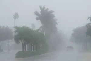 terjebak-di-tengah-banjir-warga-milton-kirim-sos-dari-apartemen-untuk-minta-bantuan